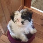 Profile Picture of Gracee Bauldree (@Gracee-Bauldree) on Facebook