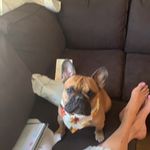 Profile Picture of Rosanne Campbell (@rosannecampbell9) on Instagram