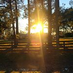 Profile Picture of Kimberly Foshee (@kfoshee83) on Instagram