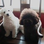 Profile Picture of Scott Meltzer (@scottmeltzer7007) on Instagram