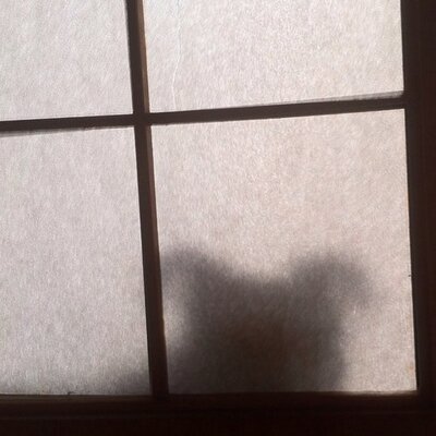 Profile Picture of マーク (@mark_ringo) on Twitter