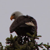 Profile Picture of David Prieur (@davidprieur6196) on Youtube