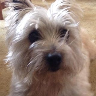 Profile Picture of Antonette NiemiecVillalpando (@antonette.niemiecvillalpando) on Facebook