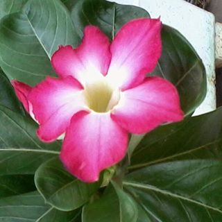 Profile Picture of Janice Hahn (@janice.hahn.14) on Facebook