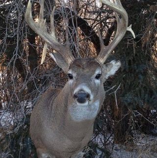 Profile Picture of Gerald Deschambeault (@gerald.deschambeault) on Facebook