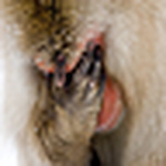 Profile Picture of Roberta Pagano (@roberta pagano photographer) on Flickr