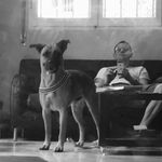 Profile Picture of Cristian Corsini (@corso10) on Instagram