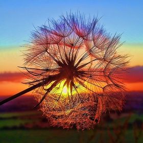 Profile Picture of Kaela Williams (@kaela_wilkins) on Pinterest