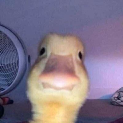 Profile Picture of Matthew Almaraz (@Matthew_Alma) on Twitter