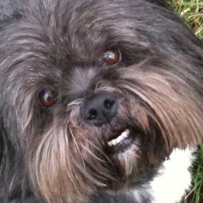 Profile Picture of Lisa Carruthers (@Carusojmlk) on Twitter