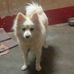 Profile Picture of Aditya Sethi (@aditya.sethi.790256) on Facebook