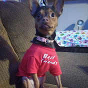 Profile Picture of Kevin Decker (@kevindecker6051) on Youtube