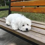 Profile Picture of Yangjun Li (@liyangjun0708) on Instagram