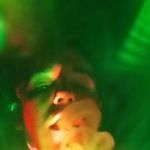 Profile Picture of Benjamin Wolfe (@wolfe6751) on Instagram
