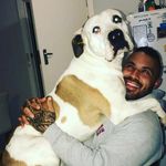 Profile Picture of Mark Dransfield (@mark_dransfieldd) on Instagram