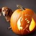 Profile Picture of Lori Harwell (@lori.harwell.33) on Facebook