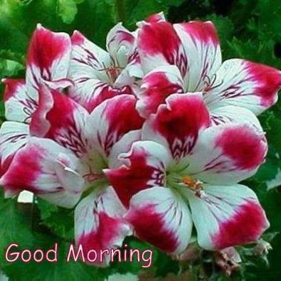 Profile Picture of Anjali Ram Tupare (@hanumant14484) on Twitter