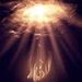 Profile Picture of Reza Zolfaghari (@reza4427) on Pinterest