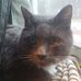 Profile Picture of Christopher Schamble (@christopher.schamble) on Facebook
