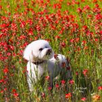 Profile Picture of Pat McGrath Avery (@patmcgrathavery) on Instagram