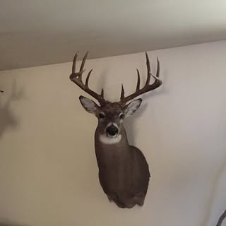 Profile Picture of Scott Scholl (@scottscholl) on Instagram