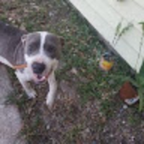 Profile Picture of Alberto Rocha (@gachitochito) on Poshmark