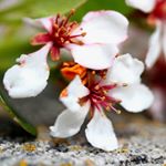 Profile Picture of Jesse Boyd (@tiltedtripod.photography) on Instagram