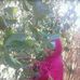Profile Picture of Kalid Mohammed (@kalid.mohammed.980967) on Facebook