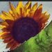 Profile Picture of Stacey Roots (@bleuindian1075) on Pinterest