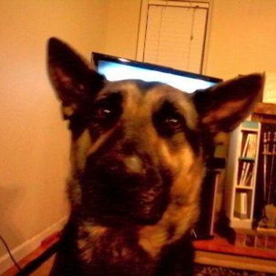 Profile Picture of Isaac Terrell-Sander (@TerrellSander) on Twitter