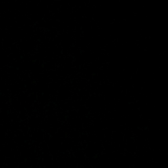 Profile Picture of Claudia Nicolas (@claudianicolas) on Poshmark