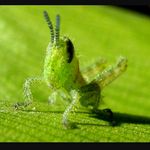 Profile Picture of Lisa Nagler (@naglerlisa) on Instagram