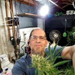 Profile Picture of David kinnel (@david_kinnel40) on Instagram