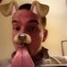 Profile Picture of Jarrod Schultz (@hillbillynthacity) on Pinterest
