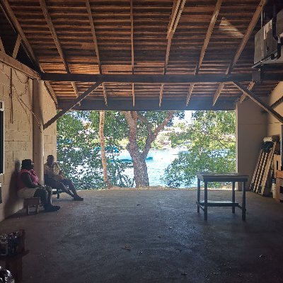 Profile Picture of Lisa Starbuck (@LisaBenGary) on Twitter