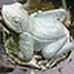 Profile Picture of Dena (@dena rae) on Flickr