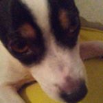 Profile Picture of cody pressley (@dragon152225) on Instagram