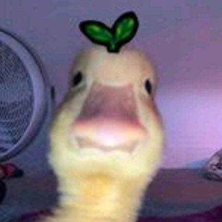 Profile Picture of carl nicholas (@carl.nicholas6) on Tiktok