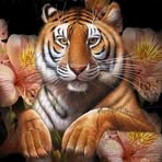 Profile Picture of Ralf Bonifert (@Ralf-Bonifert) on Facebook