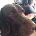 Profile Picture of Lucas Bell (@lucas.bell.1884) on Facebook