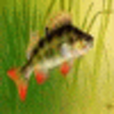 Profile Picture of Aaron Feliciano (@fuuanimet) on Twitter