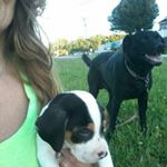 Profile Picture of Tammy Adkisson (@adkissontammy) on Instagram