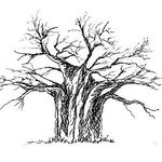 Profile Picture of Leanne Helfrich (@leannehelfrich) on Instagram