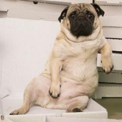 Profile Picture of Sigifredo  Pérez (@ziggyperez69) on Twitter
