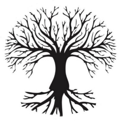 Profile Picture of Steve's Trees (@StevesTreesNJ) on Twitter