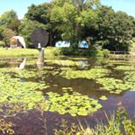 Profile Picture of George Gilbert (@gilboge) on Instagram