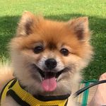 Profile Picture of Sora Jung🎾 (@sora_jung) on Instagram