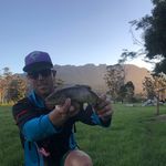 Profile Picture of Dylan Hardy (@dyl_hardy) on Instagram