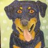 Profile Picture of James Farber (@farber2721) on Pinterest