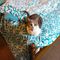 Profile Picture of Kristy Howard (@kristy.howard.507) on Facebook